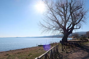青いボルセーナ湖 オルヴィエートとああうっかりの勘違い - イタリア写真草子