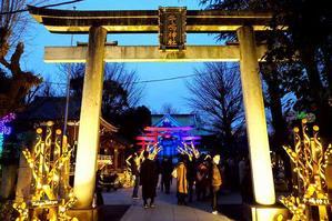 牛嶋神社のイルミネーション - 陽だまりの道
