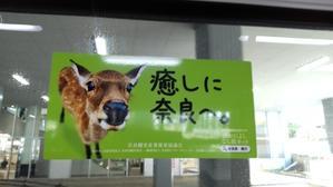 鹿 - yamatoのひとりごと