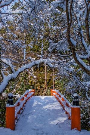 西明寺・指月橋～雪景色 - 鏡花水月