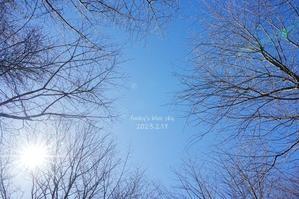 この足跡は！？　（山道さんぽ♪・Ⅱ） - FUNKY'S BLUE SKY