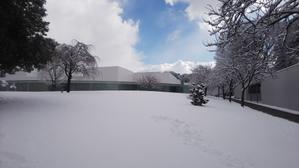 雪の朝 　　金沢21世紀美術館 - わがまま風景