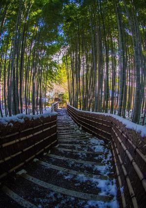 化野念仏寺～雪景色 - 鏡花水月