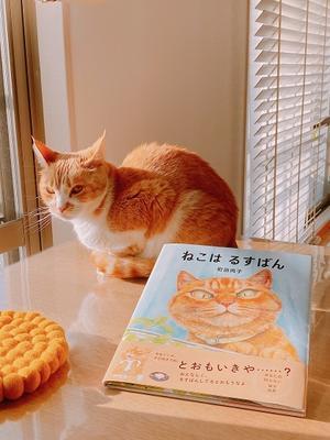 「ねこはるすばん」かわいい猫の本 - ハッピーショコラ ぷらす にゃんこ