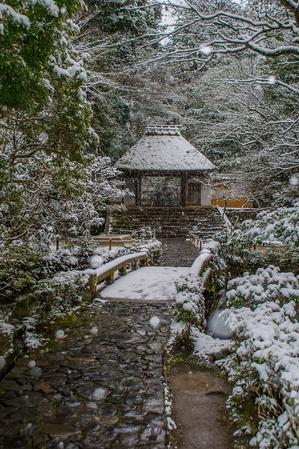 法然院～雪景色 - 鏡花水月