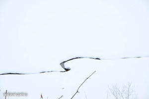 雪解けの頃の聖台ダム - 