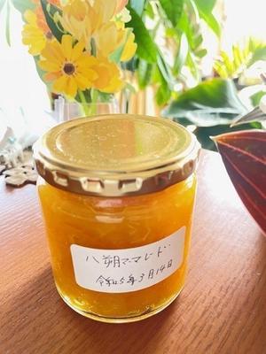 八朔マーマレード - ササイな日々