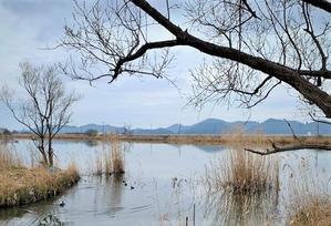 ラザロの復活は私たちのため - イエスと共に