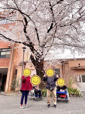 桜が散る前に - SUNsalon's Blog