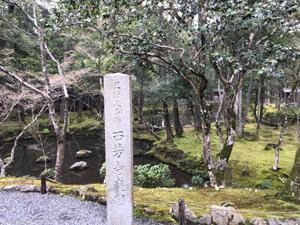 西芳寺(苔寺）へ - nao山に行く
