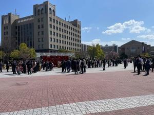願わくば花の下にて春死なん - バイオリンクの片隅から
