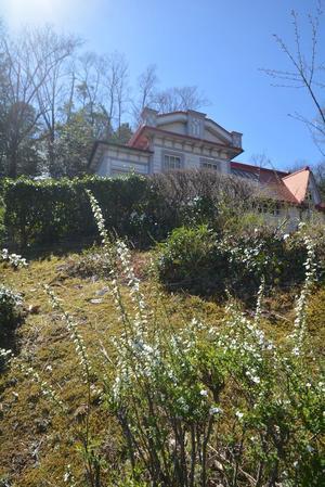小さな写真館と春の花 - 明治村が大好きな、とある村民のブログ