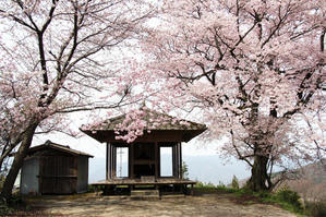 2006年つるぎ町芝内の「桜堂」の「ひょうたん桜」♪ - すえドンのフォト日記