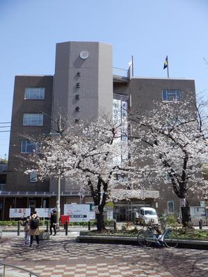 ◆2023 桜満開　～沖縄尚学は・・・・・～　 - ハッチャンの｢大阪大正区で沖縄三昧｣