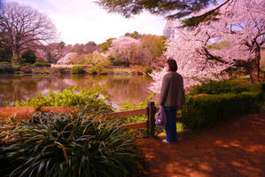 桜の国の人々 - totori's Blog トトリのエキサイトブログ