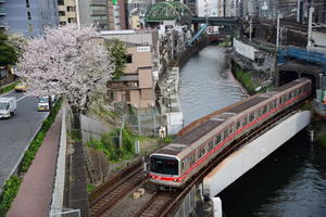 東京メトロ丸ノ内線＠神田川の桜 - HIRO☆の鉄旅ブログ