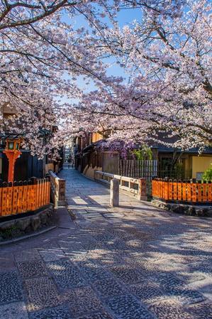 2023京都桜～祇園白川 - 鏡花水月