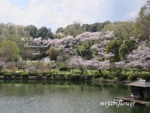 春にあいさつした日　 薬師池公園 : 東京 町田市 - 風と花を紡いで