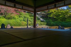 2023京都桜～光明院(東福寺塔頭） - 鏡花水月