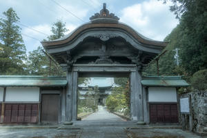 靜居寺の牡丹 - やきとりブログ