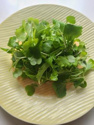 小さな庭で - 食品ロス削減料理研究家ブログ行長万里 　日本全国　美味しい話