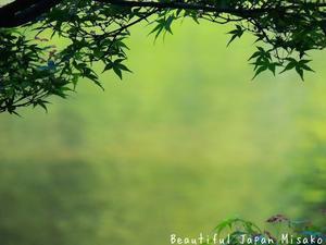 香嵐渓十八景;･ﾟ☆､･：`☆･･ﾟ･ﾟ☆ - Beautiful Japan 絵空事