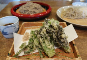十割さらしな蕎麦 志な乃 ＊ 山菜天ぷらと3種のお蕎麦を食べ比べ♪ - ぴきょログ～軽井沢でぐーたら生活～
