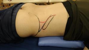 TOC体表解剖勉強会｜腰方形筋・腸肋筋の触察 - たてやま整形外科クリニック　リハスタッフブログ