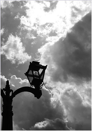 street lamp - maqui。