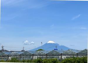 今日の富士山。 - makan-makanan