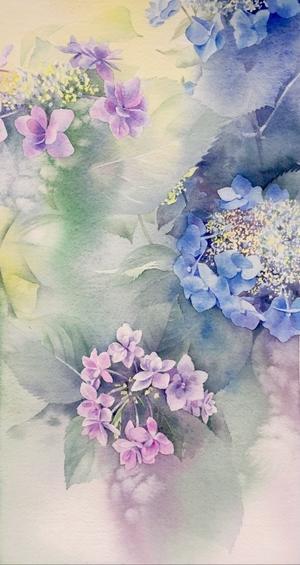 紫陽花 - 青山一樹 水彩画のひととき
