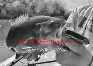 NLW Fishing Live - ぶっつけエリー湖（2023/5/26） - Nishine Lure Works　裏日記