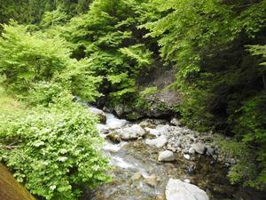 『ごろごろの滝と神崎川の流れ風景』 - 自然風の自然風だより