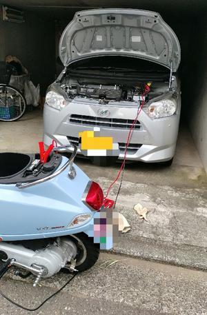 バイクのエンジンがかからないよ - いろんなところに出没中