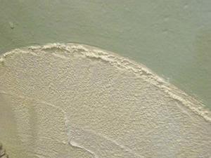 浴室の壁にモルタルを塗って色もつけた - 寄りみちニャッ記