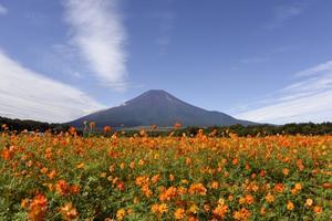 夏の神奈川を駆け抜ける─魅惑の山々との出会い - りんりんりん