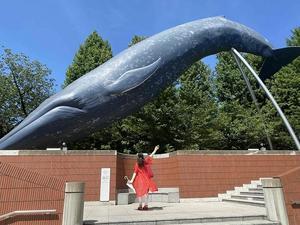 この夏行くなら「海」展 ～国立科学博物館～ - 雲母（ＫＩＲＡ）の舟に乗って