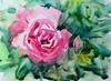 シニアチックな水彩画家 おさむ斉藤のブログ Watercolor by Osamu 水彩画家のロス日記 Watercolorist Diary - 忍び込んだは何者じゃ