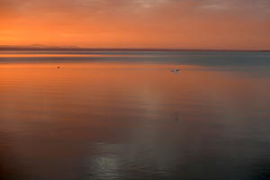 白鷺飛びマガモ憩うトラジメーノ湖の秋の夕暮れ - イタリア写真草子