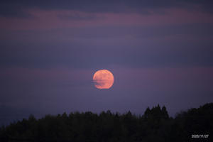 11月27日の満月 - お手軽天体写真