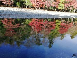五十鈴川に映る紅葉🍁 - 好食好日
