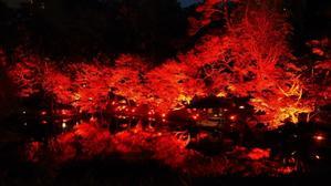 TOKYO RED GARDEN2023@八芳園 - Green Floral