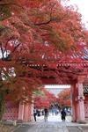 水野歯科クリニック ー MIZUNO DENTAL CLINIC ー Heiwagaoka,Meito-ku,Nagoya 052-772-1182 - ☆☆ 京都の紅葉 ☆☆
