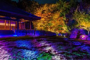 2023京都紅葉～随心院ライトアップ - 鏡花水月