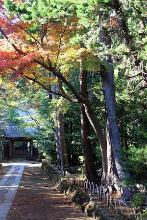 鎌倉　寿福寺　界隈の紅葉 - 暮らしを紡ぐ2