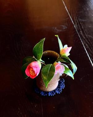 岩茶房丹波ことり公式ブログ