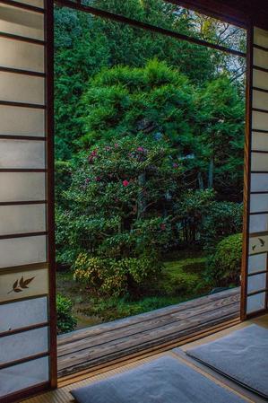 芬陀院（東福寺塔頭）～冬の芬陀院 - 鏡花水月