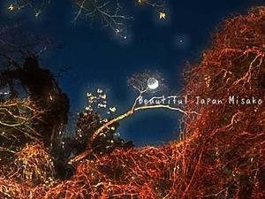 名古屋城で流れ星を見た～☆彡☆､･：`☆･･ﾟ･ﾟ☆ - Beautiful Japan 絵空事
