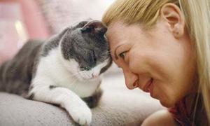 The 5 Best Cheap Pet Insurance Companies for 2024 - 