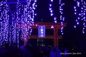◆ あしかがフラワーパーク「日本三大イルミネーション 光の花の庭」へ、その5（2024年2月） - 空とグルメと温泉と